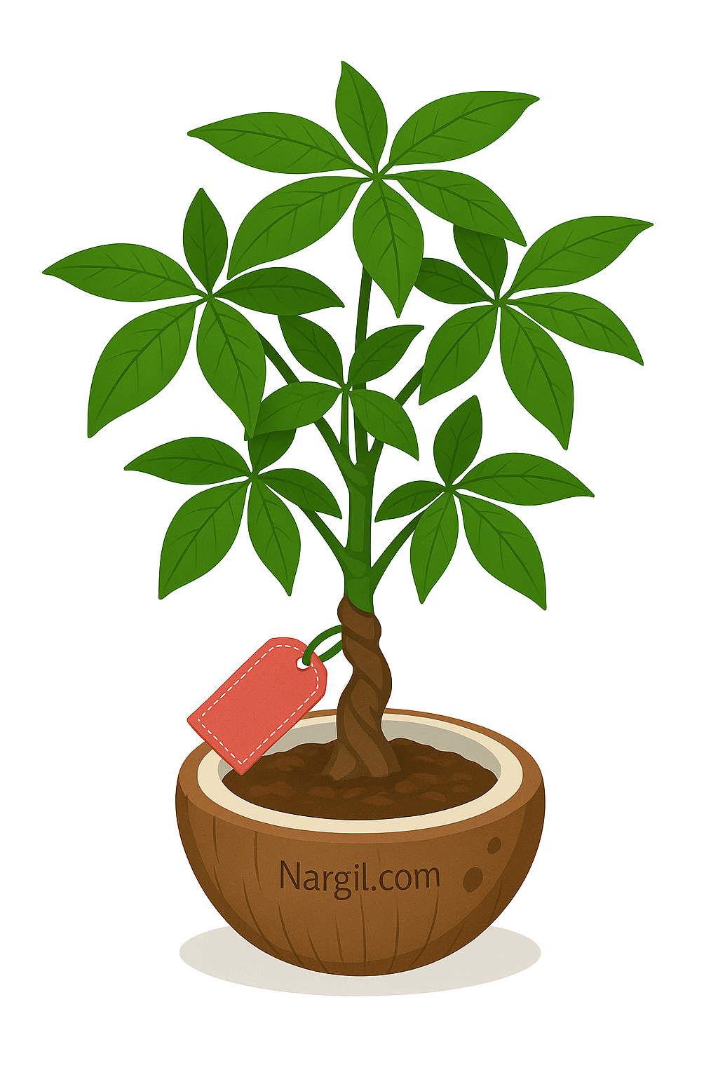  Nargil - Money Tree